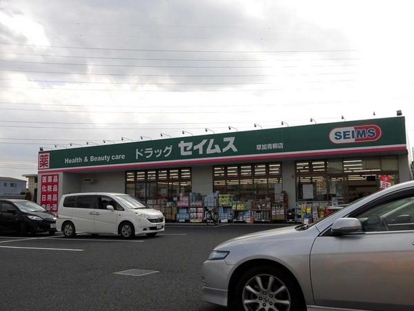 ドラックストア　ドラッグストアセキ青柳店（ドラッグストア）まで722m