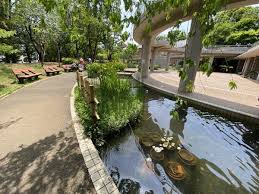公園　西原せせらぎ公園（公園）まで372m