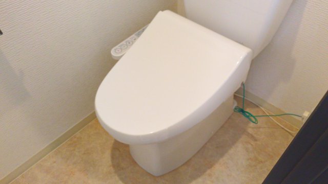 テラス・レイクマウントのトイレ写真