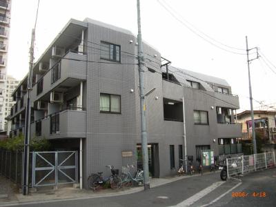 テラスデイジィ