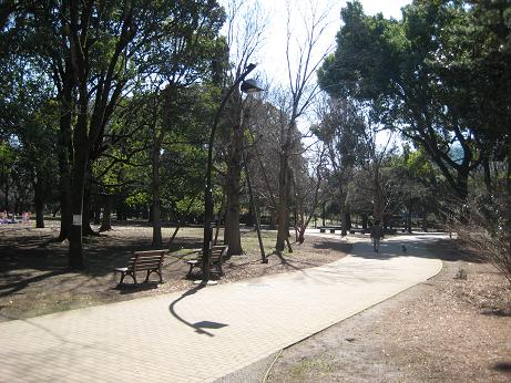 京王線 芦花公園駅 徒歩10分 3階建 築45年の周辺写真
