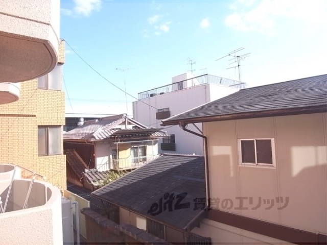 アイリス衣笠のその他写真