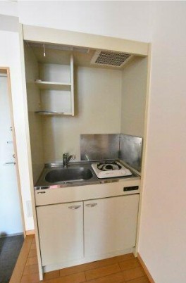 フラバンジェノールのキッチン写真
