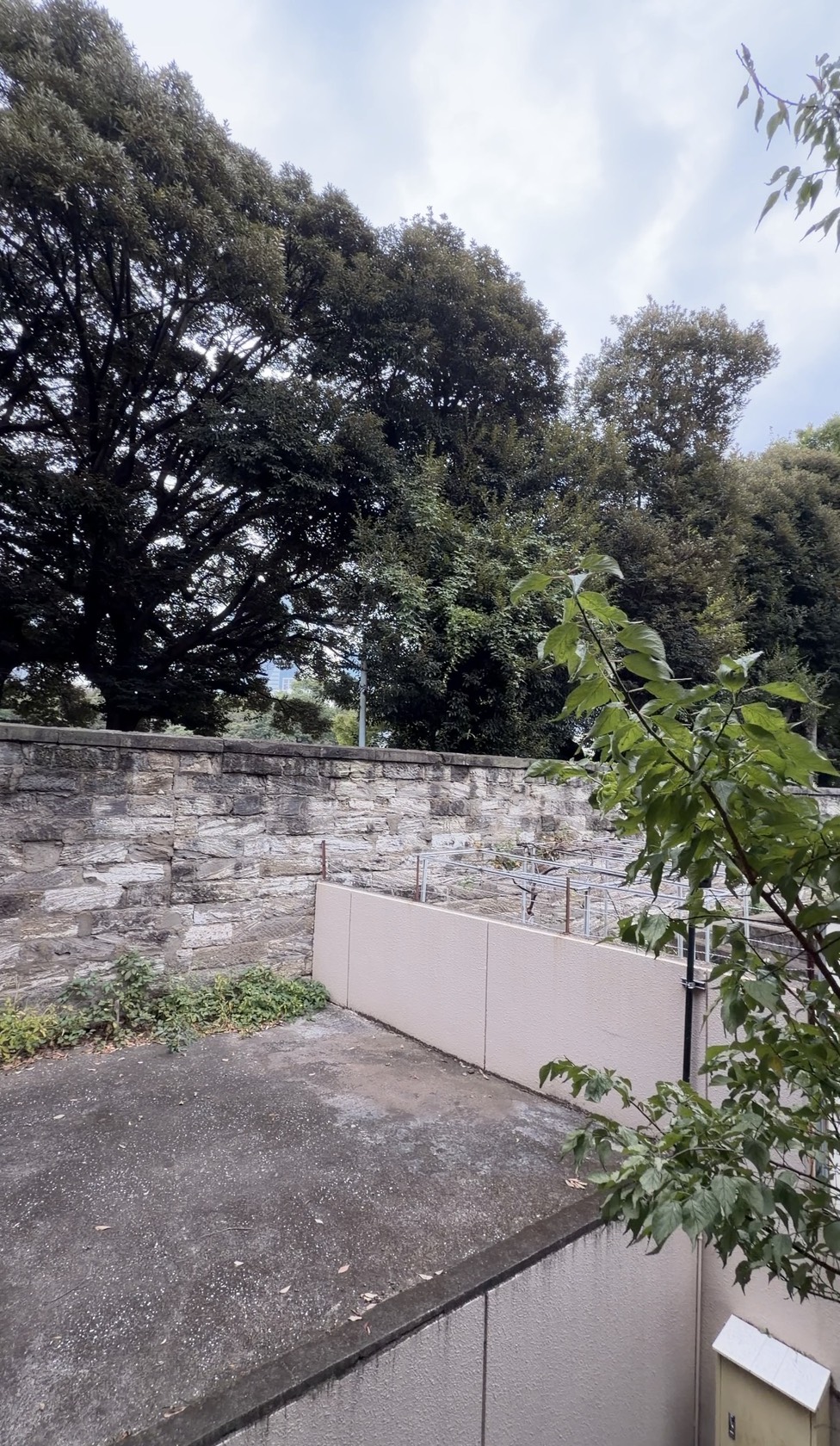 ハイネス麻布鳥居坂のその他写真