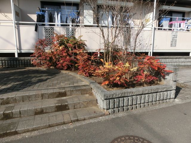 エントランス　エントランス　植栽
