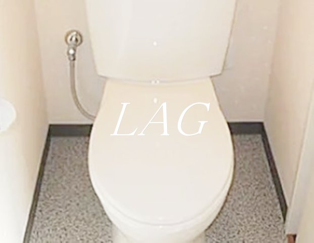 トイレ　トイレです。