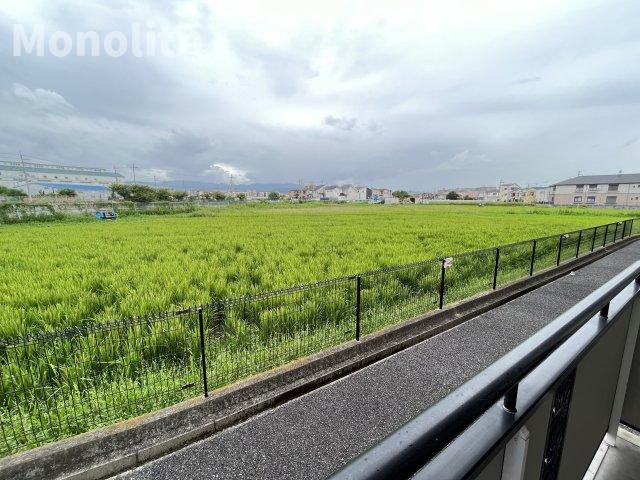 【泉北郡忠岡町高月南のアパートの眺望】