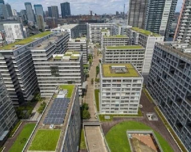 江東区東雲のマンションの建物外観