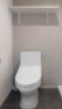 トイレ　別室同施工例