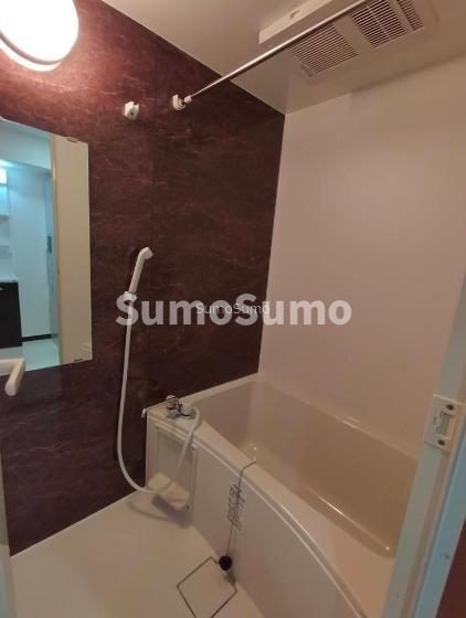 バス・シャワールーム　コンパクトで使いやすいお風呂です