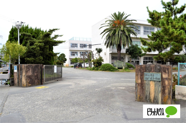 小学校　富士市立田子浦小学校（小学校）まで1024m