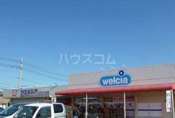 その他　ウエルシア上三川（その他）まで1251m