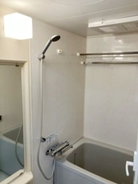 バス・シャワールーム　同タイプ別部屋画像