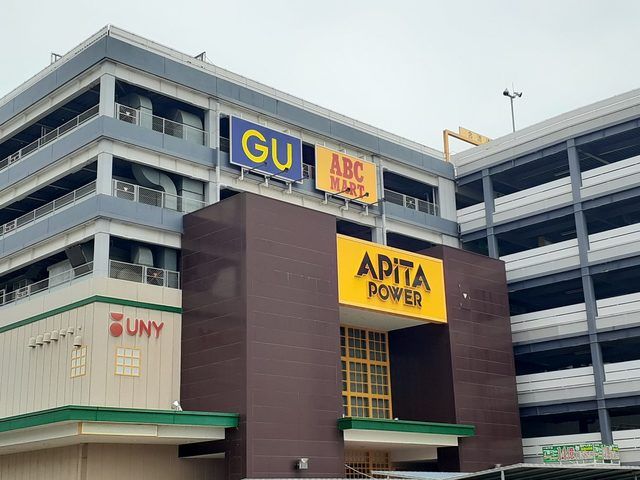 ショッピングセンター　アピタ新守山店（ショッピングセンター）まで800m