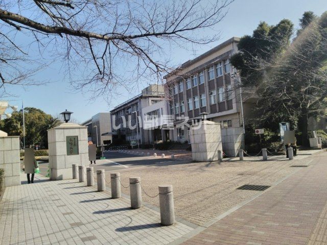 【modern palazzo 文教primaの大学・短大】