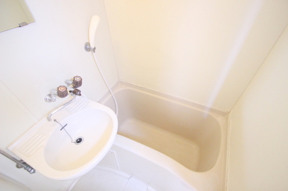 バス・シャワールーム　※別部屋の写真です