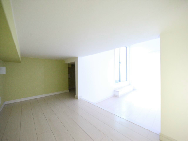 その他部屋・スペース　アンダーロフト4.8帖　ウォークインクローゼット（収納充実）