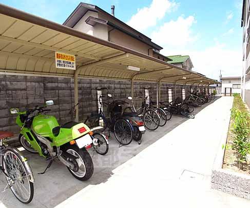 その他共有部分　屋根付き駐輪場です。