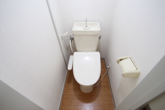 トイレ　他号室のお写真です