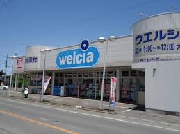 ドラックストア　ウエルシア大里店（ドラッグストア）まで536m