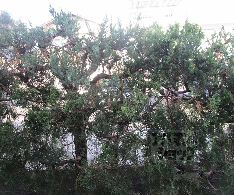 眺望　１０９号室の写真です。