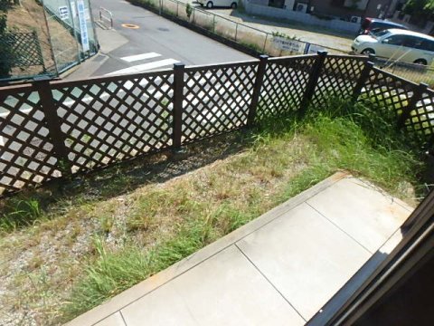 庭