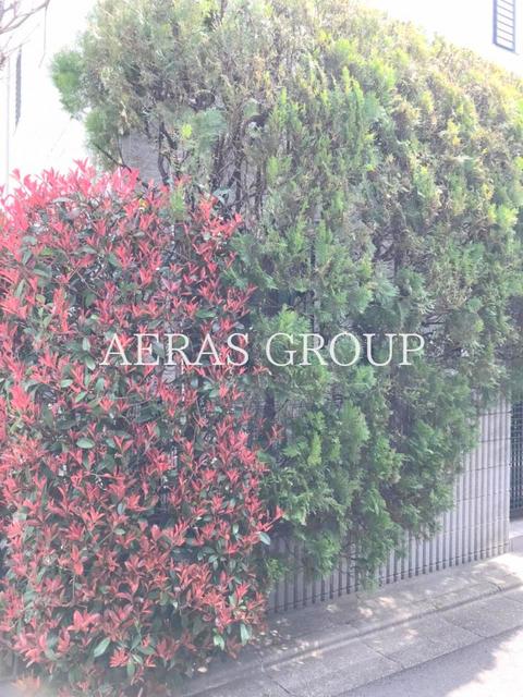 その他　植栽