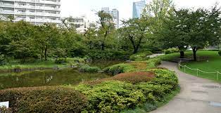 公園　六本木六丁目緑地（公園）まで555m