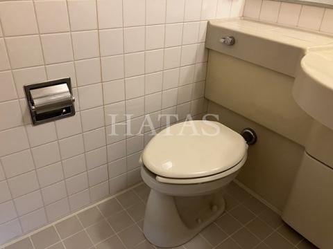 トイレ　同物件別部屋です。