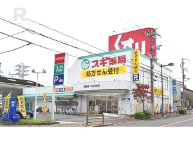 ドラックストア　スギ薬局姫島店（ドラッグストア）まで734m