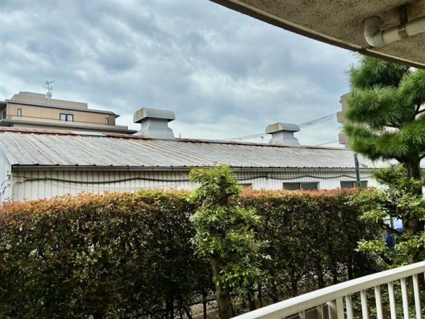 第一ハウス崔綜の内装写真