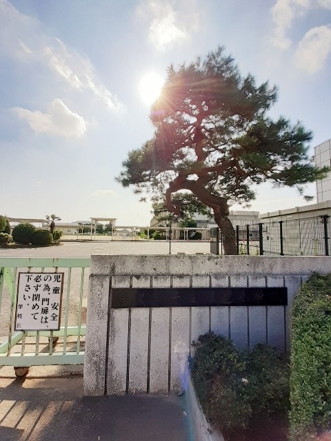 小学校　伊勢崎市立殖蓮小学校（小学校）まで2000m