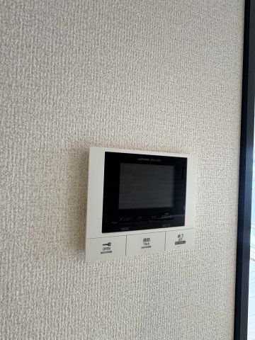 ASHA NOORのその他写真
