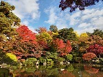 公園　もみじ公園（公園）まで450m