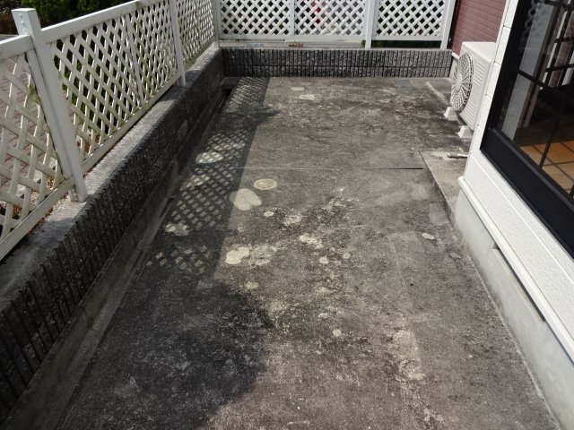 庭