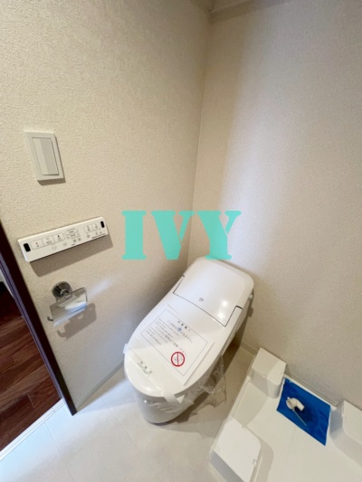リブ白楽Aのトイレ写真