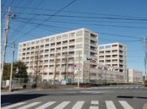 病院　川口市立医療センター（病院）まで1489m