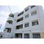 瑞穂運動場東駅より徒歩10分 3階 築48年3ヶ月の賃貸物件