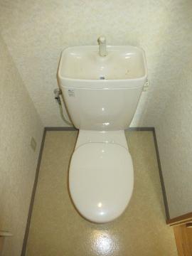 トイレ　トイレ