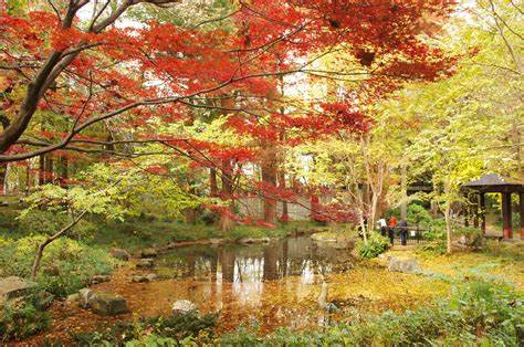 公園　林試の森公園（公園）まで671m