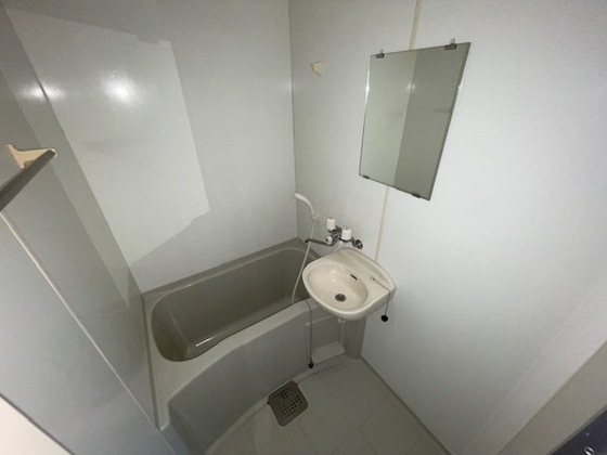 バス・シャワールーム　※別部屋の写真です