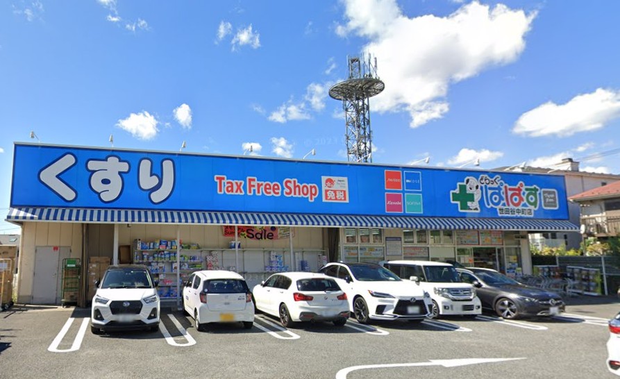 ドラックストア　どらっぐぱぱす世田谷中町店（ドラッグストア）まで246m