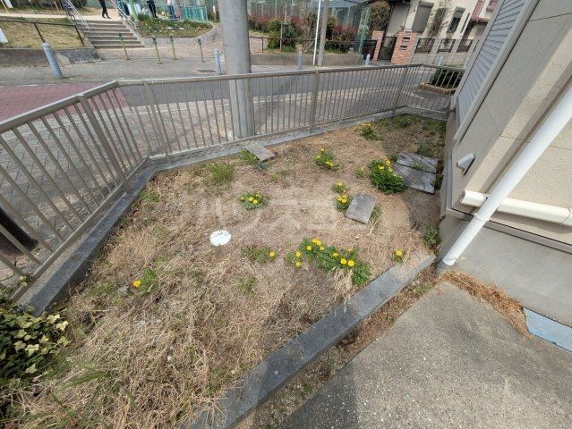 庭