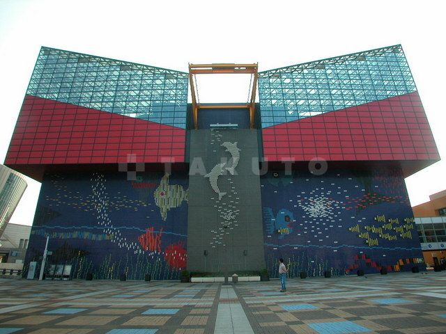 その他　海遊館（その他）まで767m