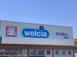 ドラックストア　金光薬品倉敷林店（ドラッグストア）まで2661m