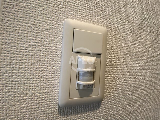 その他　レオンコンフォート上本町　人感センサーライト