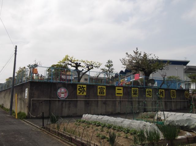 幼稚園・保育園　弥富二葉幼稚園（幼稚園・保育園）まで310m