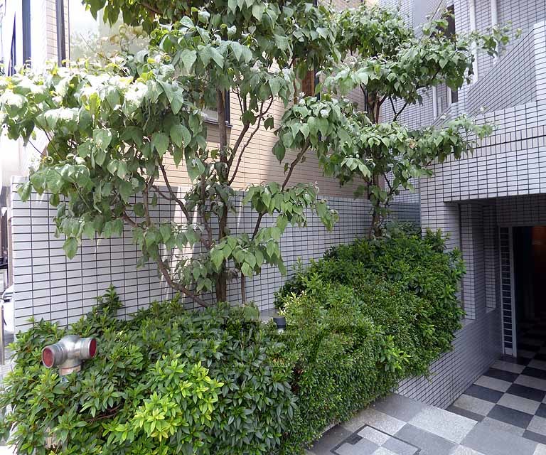 庭