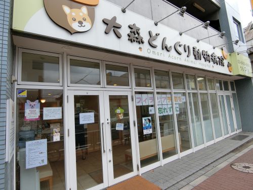 病院　大森どんぐり動物病院（病院）まで82m