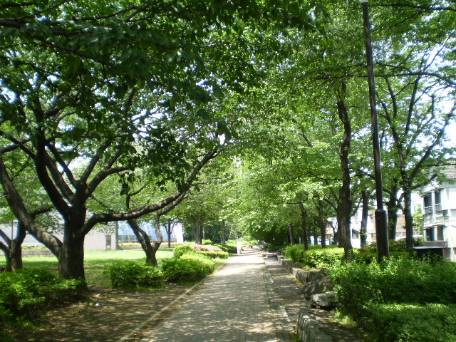 公園　城北中央公園（公園）まで431m